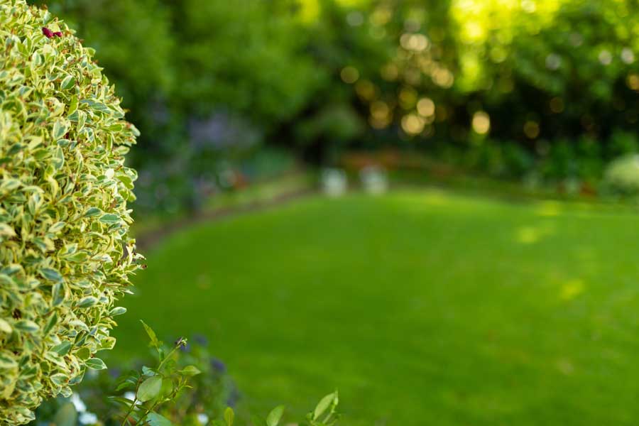 tuin-oase tuin groene oase