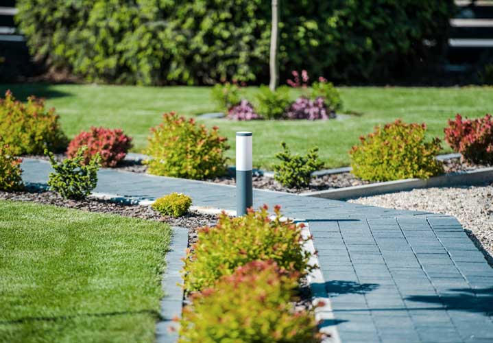 Tuinpad planten verlichting